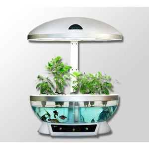 Tabletop Hydroponics Fish Tank Planter Aquaponics System with Grow Light