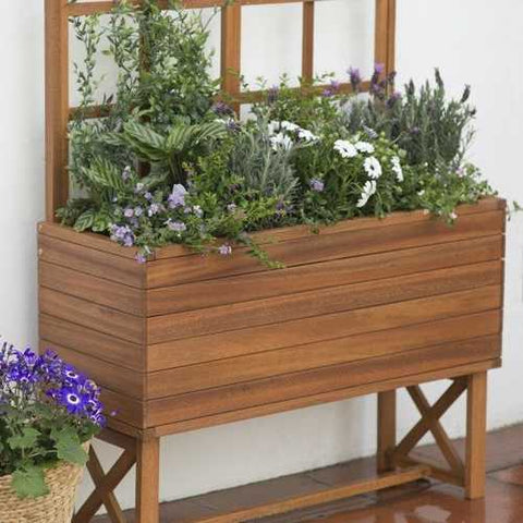 Image of Modern Solid Wood Elevated Planter Box with Trellis