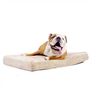 4-inch thick Memory Foam Orthopedic Medium size Dog Bed