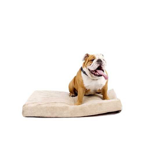 Image of 4-inch thick Memory Foam Orthopedic Medium size Dog Bed