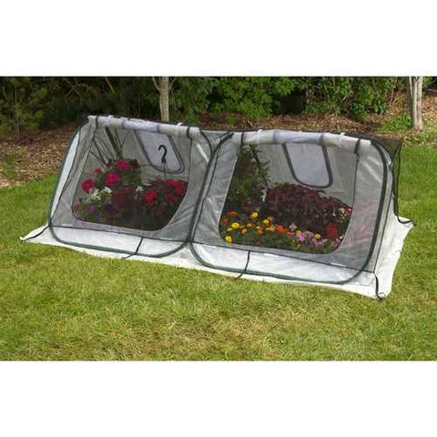 Image of Flower Starter-House Low-Tunnel Cold-Frame Style Greenhouse