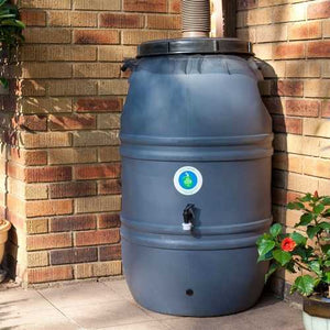 60-Gallon HDPE Food Grade Plastic Rain Barrel with Screw on Cover