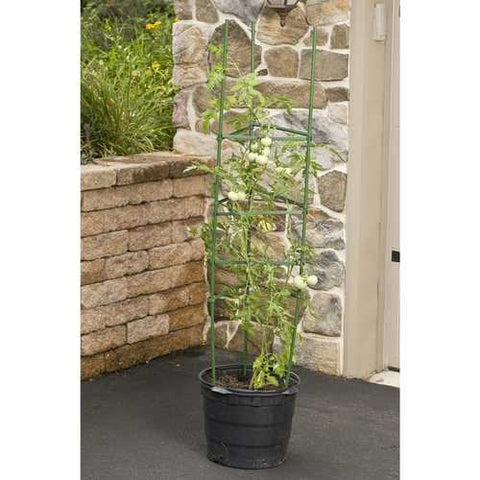 Image of 3-Pack of Tomato Plant Cage Climbing Fruit Veggie Garden Trellis