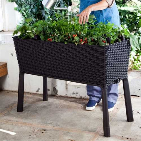 Image of Modern Dark Brown Resin Wicker Raised Garden Bed Planter with Water Indicator