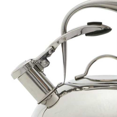 Image of Modern Industrial Stainless Steel 2-qt. Mirrored Tea Kettle