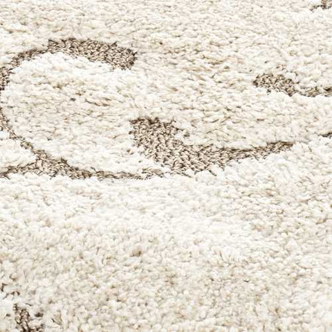 Image of 3'3 x 5'3 Shag Area Rug in Beige Off White with Scrolling Floral Pattern